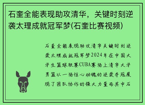 石奎全能表现助攻清华，关键时刻逆袭太理成就冠军梦(石奎比赛视频)