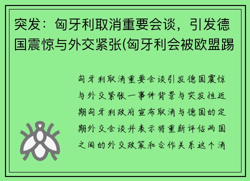 突发：匈牙利取消重要会谈，引发德国震惊与外交紧张(匈牙利会被欧盟踢出吗)