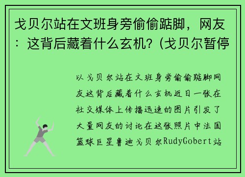 戈贝尔站在文班身旁偷偷踮脚，网友：这背后藏着什么玄机？(戈贝尔暂停期间怒踹凳子)