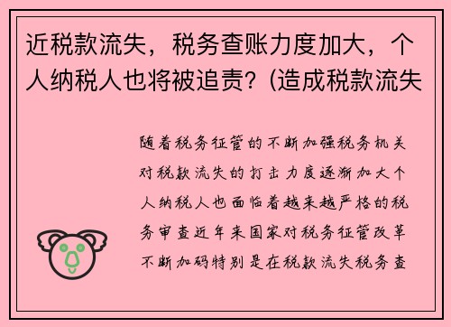 近税款流失，税务查账力度加大，个人纳税人也将被追责？(造成税款流失的处罚)